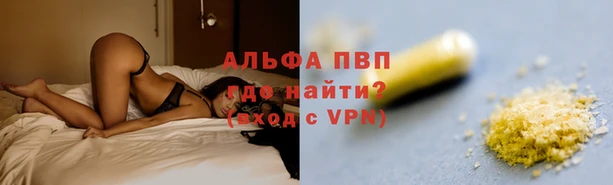 тгк Магадан