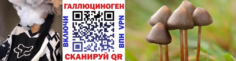 Псилоцибиновые грибы MAGIC MUSHROOMS  Купить закладки  Любим 